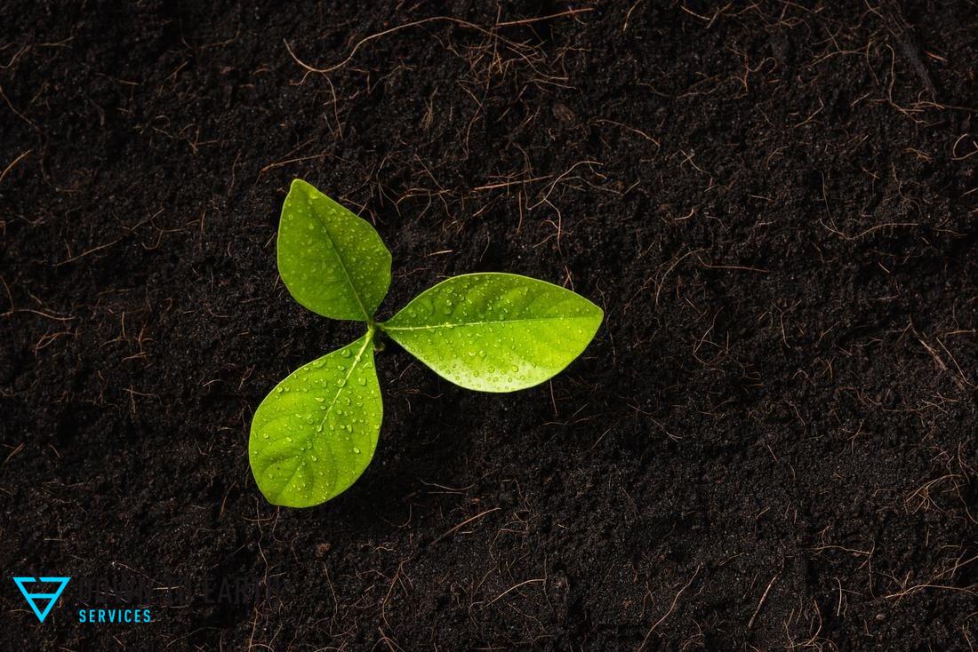 hardwood dark mulching